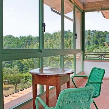 Villa Las Palmas By Nicola Real Estate Corsanico-Bargecchia Zewnętrze zdjęcie