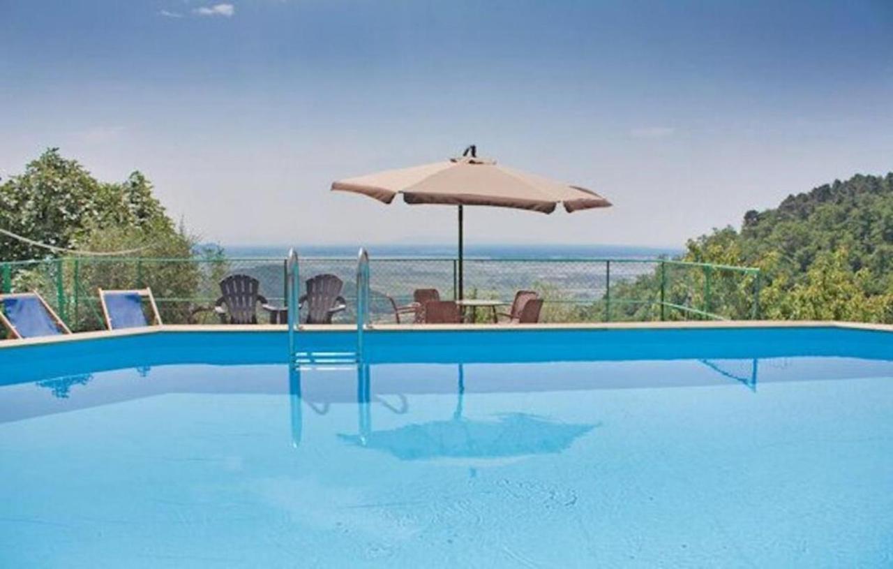 Villa Las Palmas By Nicola Real Estate Corsanico-Bargecchia Zewnętrze zdjęcie